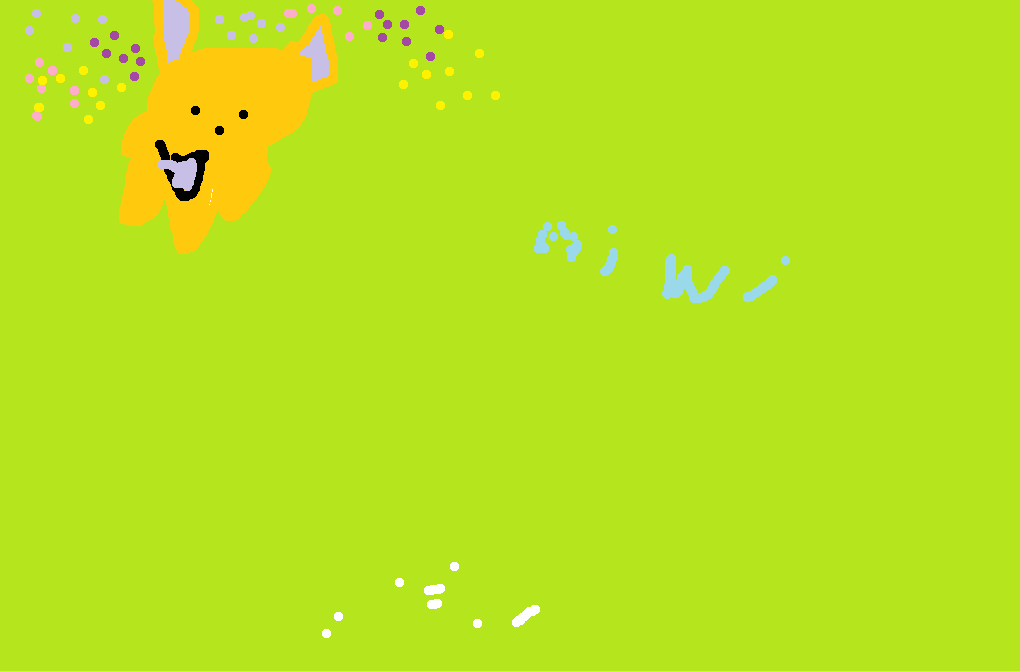Miwi